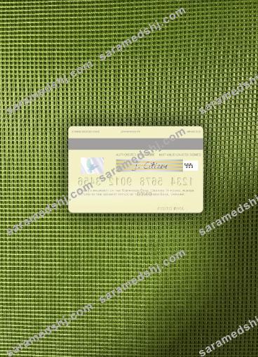 Ukraine Raiffeisen Bank visa debit card photolook back